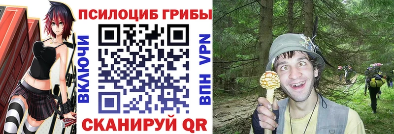 Псилоцибиновые грибы мухоморы Котельниково